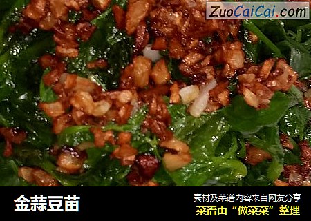 金蒜豆苗