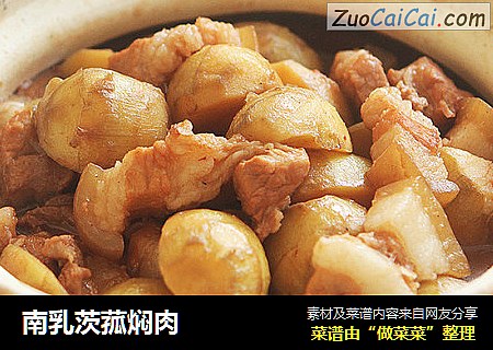 南乳茨菰焖肉