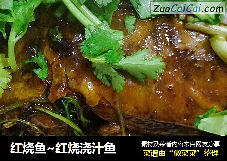 红烧鱼~红烧浇汁鱼