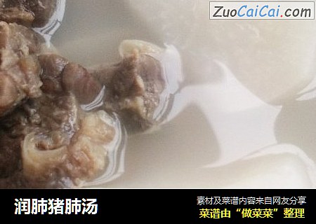 润肺猪肺汤