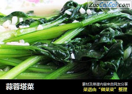 蒜蓉塔菜