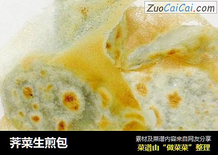 荠菜生煎包