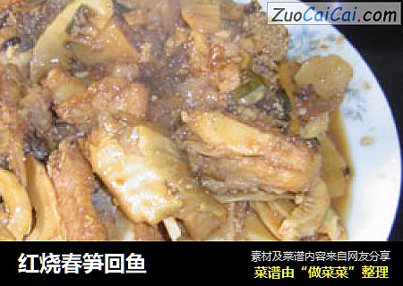 红烧春笋回鱼