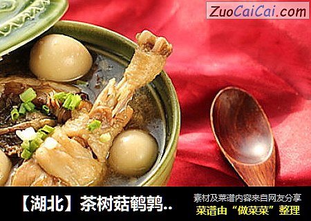 【湖北】茶树菇鹌鹑蛋土鸡汤