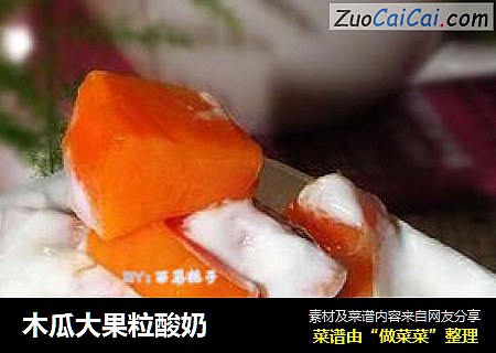 木瓜大果粒酸奶