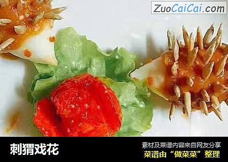 刺猬戏花