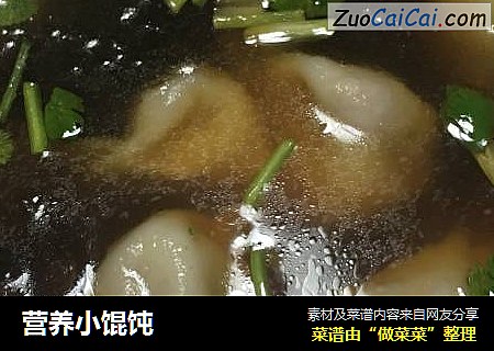 营养小馄饨