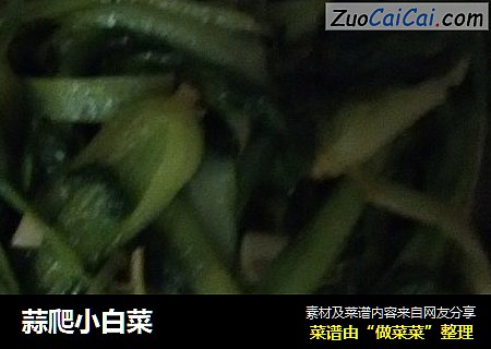 蒜爬小白菜