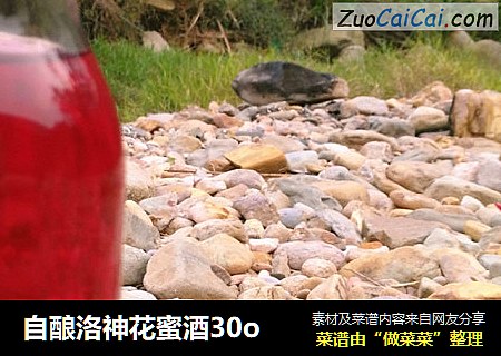 自酿洛神花蜜酒30o
