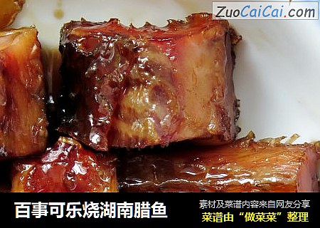 百事可乐烧湖南腊鱼