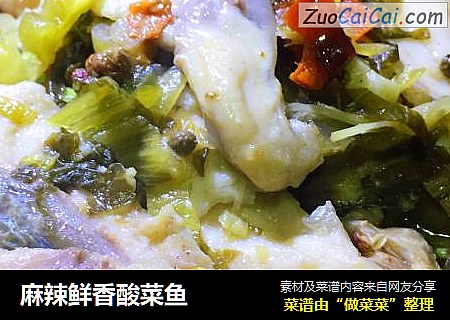 麻辣鲜香酸菜鱼