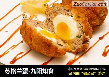 苏格兰蛋-九阳知食