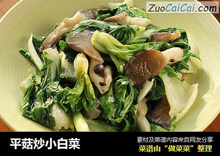 平菇炒小白菜