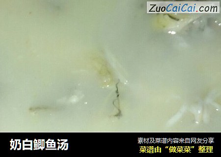 奶白鲫鱼汤