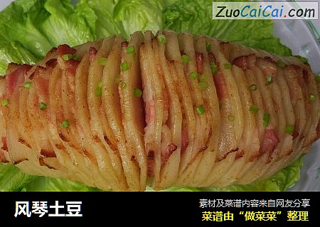 风琴土豆