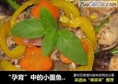 “孕育”中的小墨鱼-----来看看它是怎吐气扬眉的吧