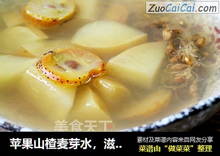 苹果山楂麦芽水，滋润提神助消化！--威厨艺