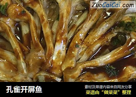 孔雀开屏鱼
