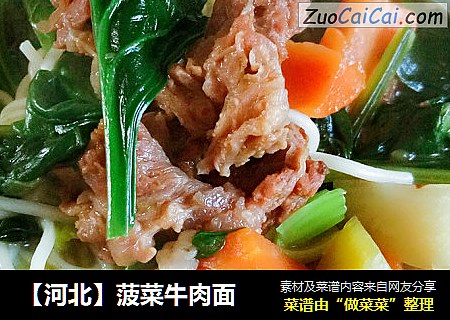 【河北】菠菜牛肉面
