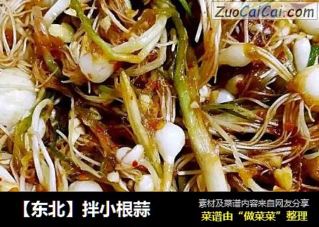 【东北】拌小根蒜