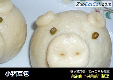 小猪豆包