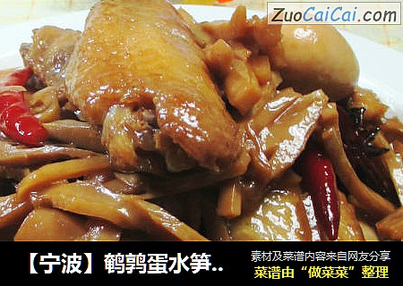 【宁波】鹌鹑蛋水笋烧中翅 