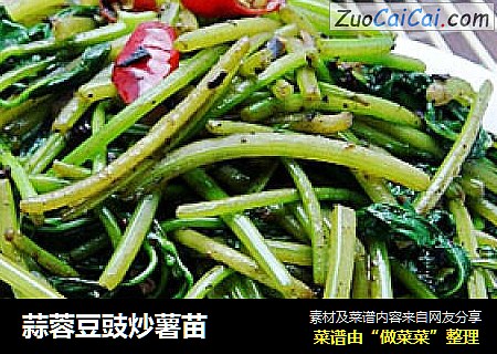 蒜蓉豆豉炒薯苗