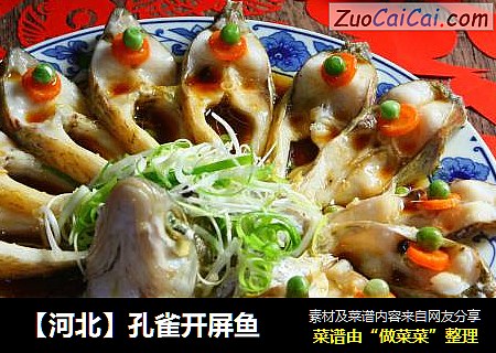【河北】孔雀开屏鱼