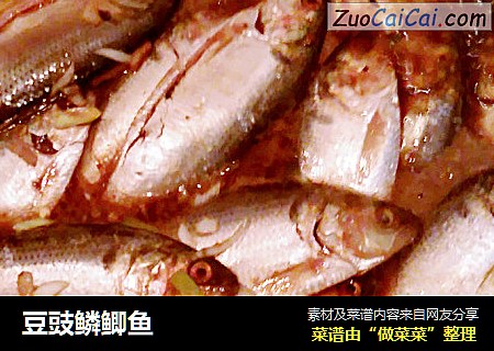 豆豉鳞鲫鱼
