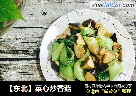【东北】菜心炒香菇