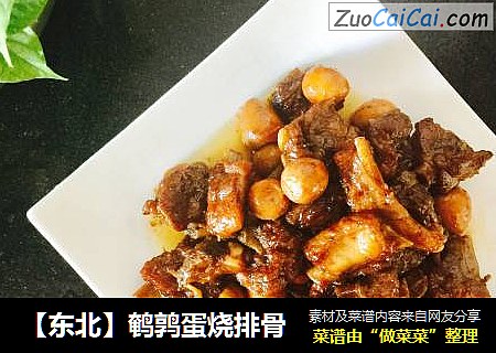 【东北】鹌鹑蛋烧排骨