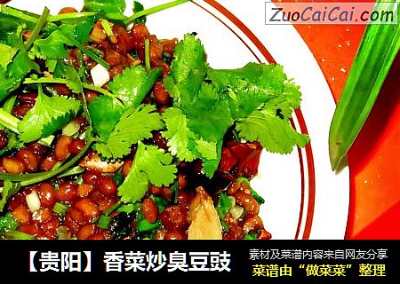 【贵阳】香菜炒臭豆豉