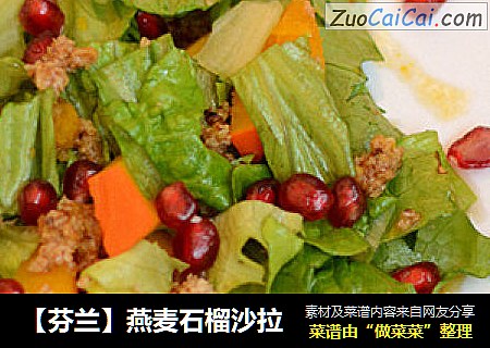 【芬兰】燕麦石榴沙拉