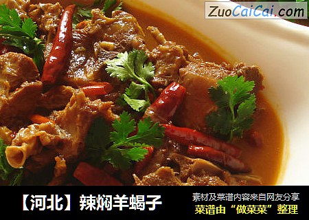 【河北】辣焖羊蝎子