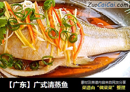【广东】广式清蒸鱼
