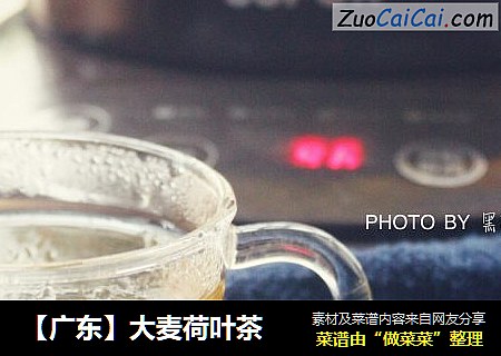 【广东】大麦荷叶茶