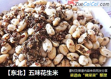 【东北】五味花生米