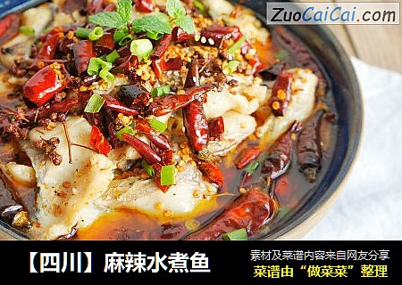 【四川】麻辣水煮鱼