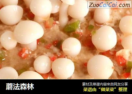 蘑法森林
