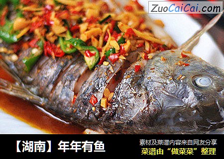 【湖南】年年有鱼