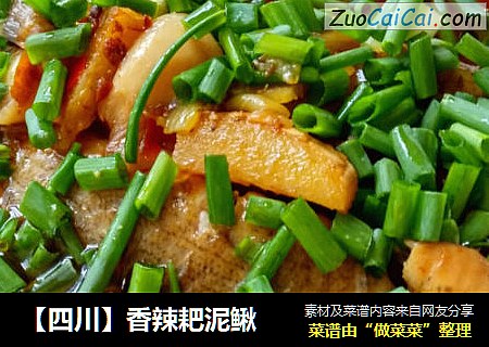 【四川】香辣耙泥鳅