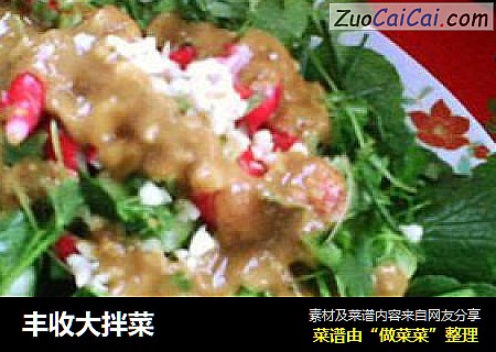 丰收大拌菜