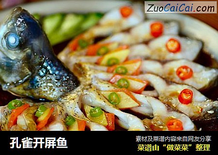 孔雀开屏鱼