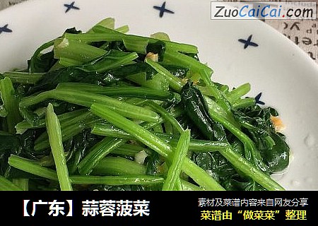 【广东】蒜蓉菠菜