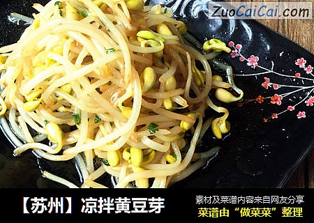 【苏州】凉拌黄豆芽