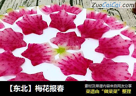 【东北】梅花报春
