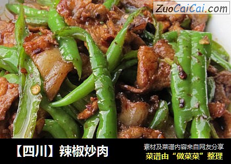 【四川】辣椒炒肉