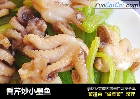 香芹炒小墨鱼