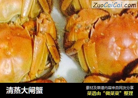清蒸大闸蟹