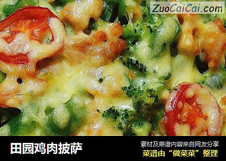田园鸡肉披萨